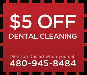 Scottsdale Dog teeth cleaning Special